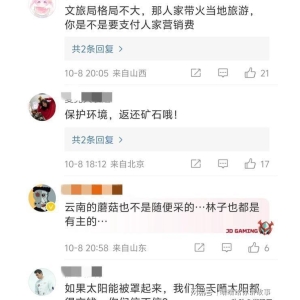 哀牢山文旅局请求颜料师偿还异极矿！格式太短序公愤网友炸爱游戏注册锅！