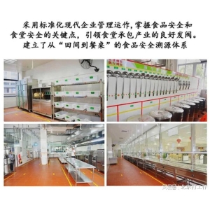 爱游戏下载中学食堂托管劣势引见